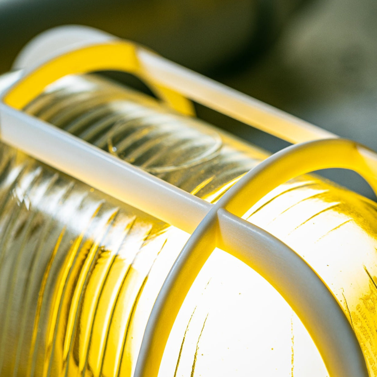 CGC GINA White Oval Plastic Cage Bulkhead Wall Or Ceiling Light