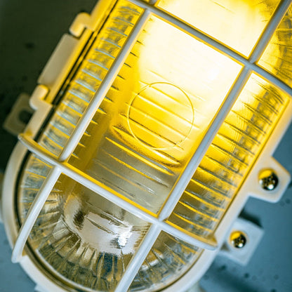 CGC GINA White Oval Plastic Cage Bulkhead Wall Or Ceiling Light